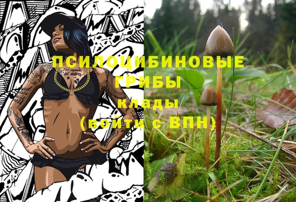 ешки Верхнеуральск